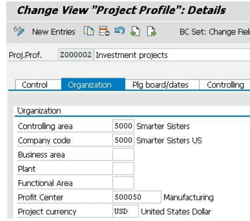 profit center assignment to company code in sap